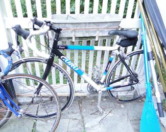 Guru Foco Bicycle