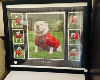 Framed UGA top dawgs