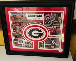 Frame UGA pics
