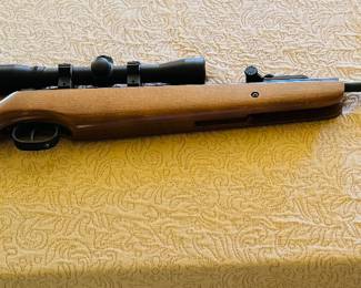 Ruger air Hawk