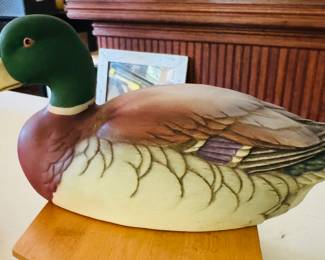Mallard duck by Andrea