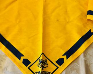 Vintage Cub Scout items