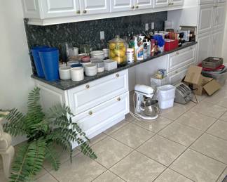 A fern. Does anyone want a fern? Or a KitchenAid mixer? How about some other kitchen appliances? We've got them!