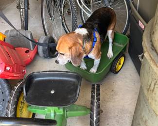 Sprout testing out the riding John Deere mower. 😂