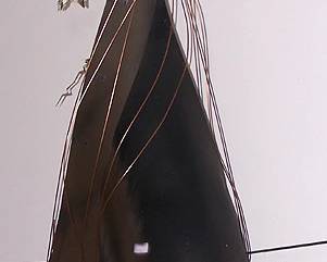 Curtis Jere (not signed) metal sailboat wall art
