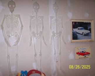 Halloween skeletons