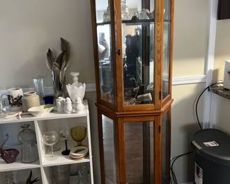 Curio Cabinet with Light
