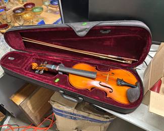 004 Violin in Case