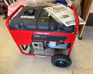 002Troy Bilt 5550 Watts Generator