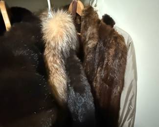 Fur Coats 