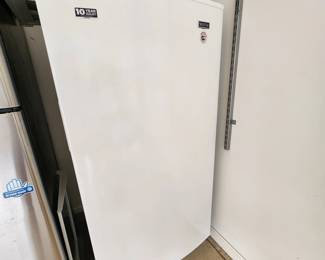 Standing Freezer