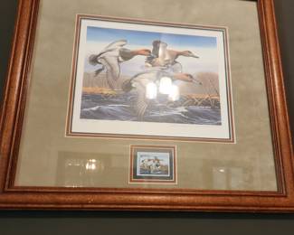 Water foul Art by A. Anderson--signed and numbered