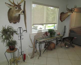 Registered mounts, bow and arrow, plants and tables 