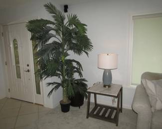 Lamps, end tables and plant