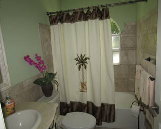 Bathroom curtain and accessories 