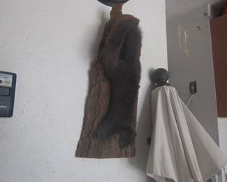 Black squirrel mount