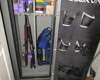 Inside gun safe