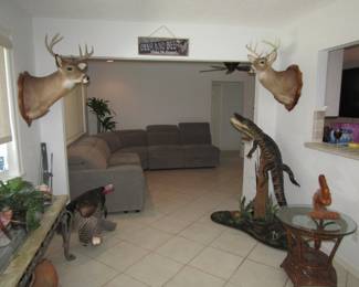 Gator and turkey mounts (registered)