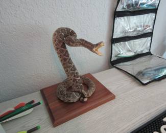 Rattlesnake mount
