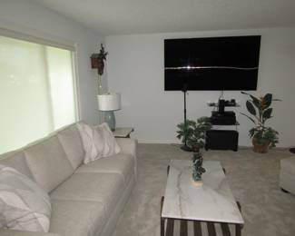 Couch, coffee table and flat screen television 
