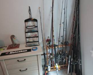Snake mount and fishing rods, some with reels