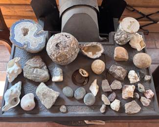 Assorted Geods rocks & shells