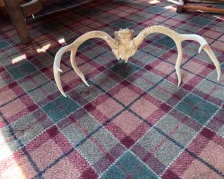 Antler rack