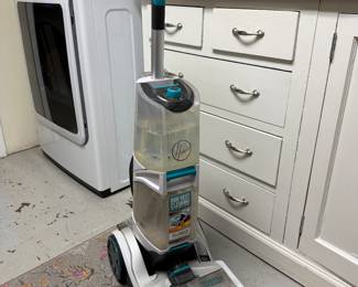 $25 - carpet cleaner
