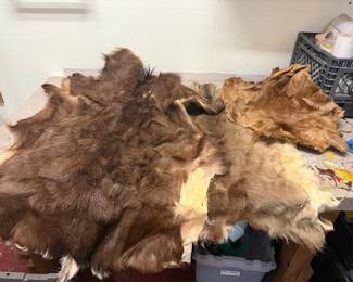 Animal Skins