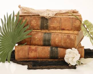 1880s Charles Dickins Books (lot of 3) group 2