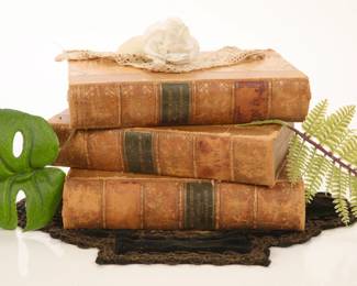 1880s Charles Dickins Books (lot of 3) group 5