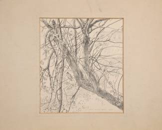 Original pencil drawing