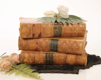 1880s Charles Dickins Books (lot of 3) group 3