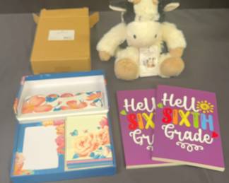 Sixth Grade Notebooks, Desk Organizer Warmies Cow