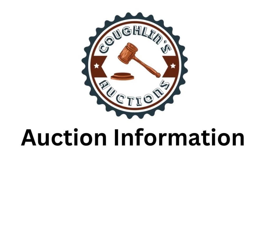 Lot 1 - Auction Info