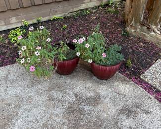 Pots