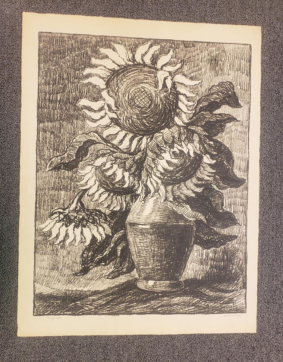 Sandzen's Large Sunflowers!