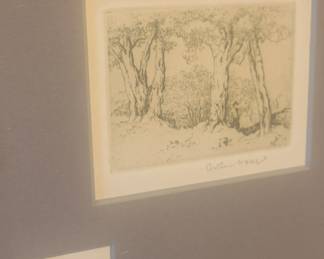 The missing "Olive Grove" if you've read the book ;)
