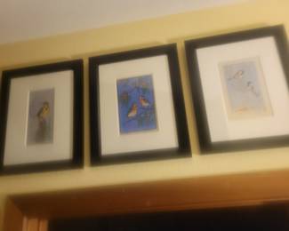 three of Margaret Whittemore's Kansas Birds
