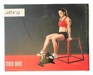 Mini Stationary Bike