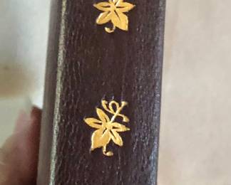 Dickens books