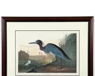 Blue heron