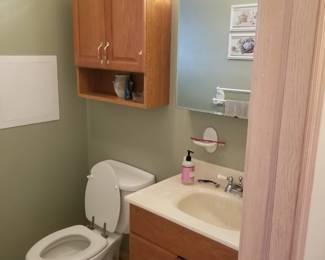 Bath vanity; toilet; medicine cabinet; mirror