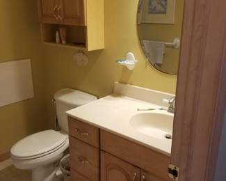 Bath vanity; toilet; medicine cabinet; mirror
