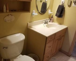 Bath vanity; toilet; medicine cabinet; mirror