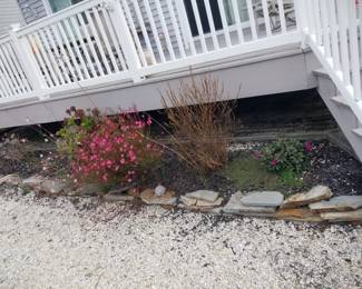 Plants; border stones