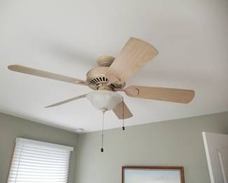 Fan with light
