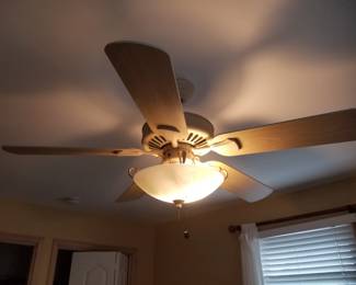 Fan with light