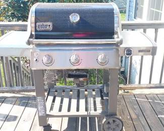 Weber Genesis Ii Gas Grill