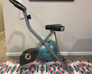 Exerputic Therapeutic Fitness Bike On Floor Mat With Fitness Ball
